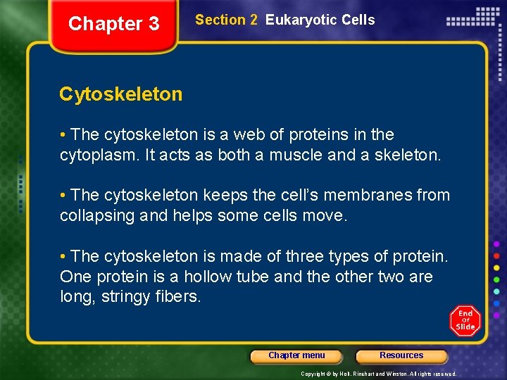 Chapter 3 Section 2 Eukaryotic Cells Cytoskeleton • The cytoskeleton is a web of