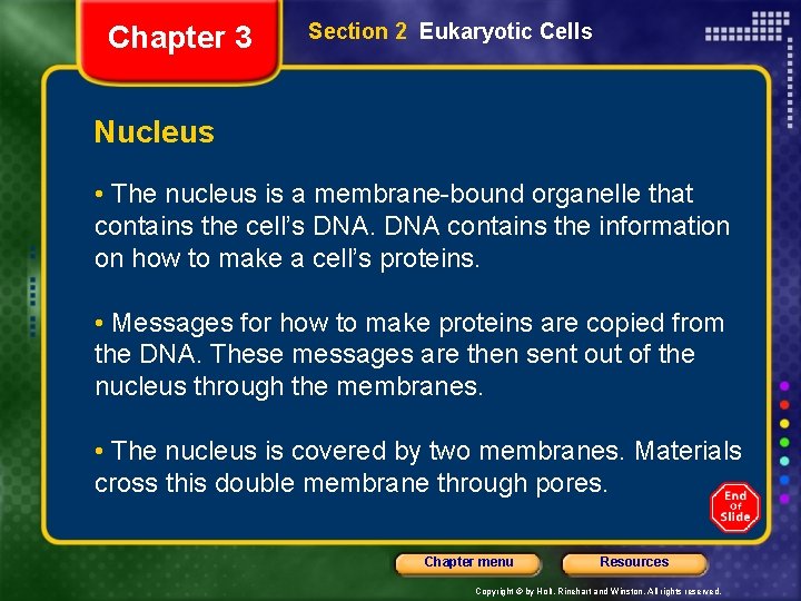 Chapter 3 Section 2 Eukaryotic Cells Nucleus • The nucleus is a membrane-bound organelle