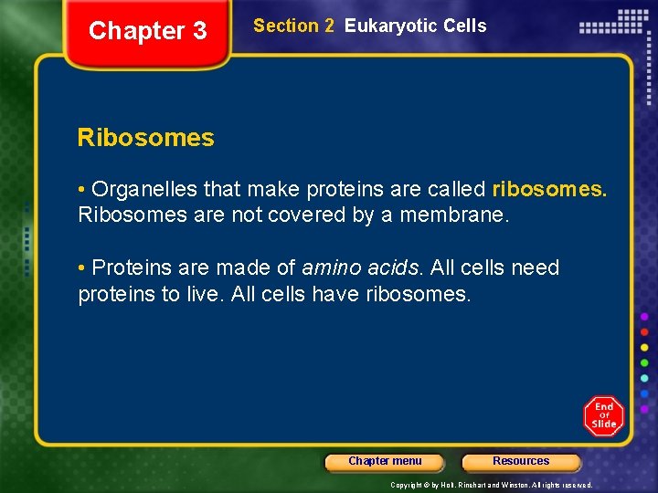 Chapter 3 Section 2 Eukaryotic Cells Ribosomes • Organelles that make proteins are called