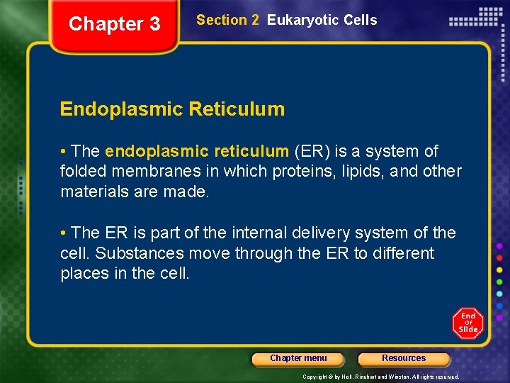 Chapter 3 Section 2 Eukaryotic Cells Endoplasmic Reticulum • The endoplasmic reticulum (ER) is