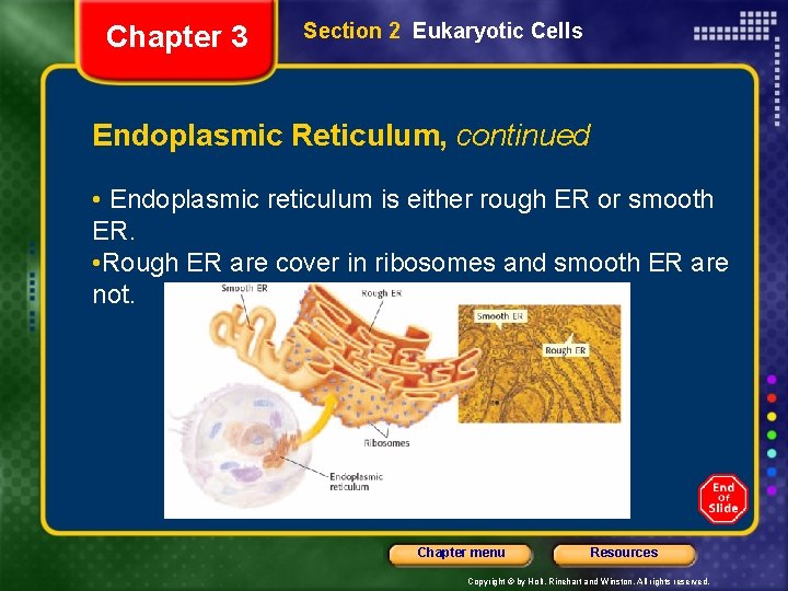 Chapter 3 Section 2 Eukaryotic Cells Endoplasmic Reticulum, continued • Endoplasmic reticulum is either