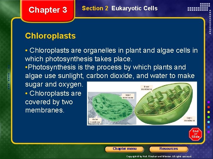 Chapter 3 Section 2 Eukaryotic Cells Chloroplasts • Chloroplasts are organelles in plant and