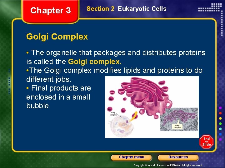 Chapter 3 Section 2 Eukaryotic Cells Golgi Complex • The organelle that packages and