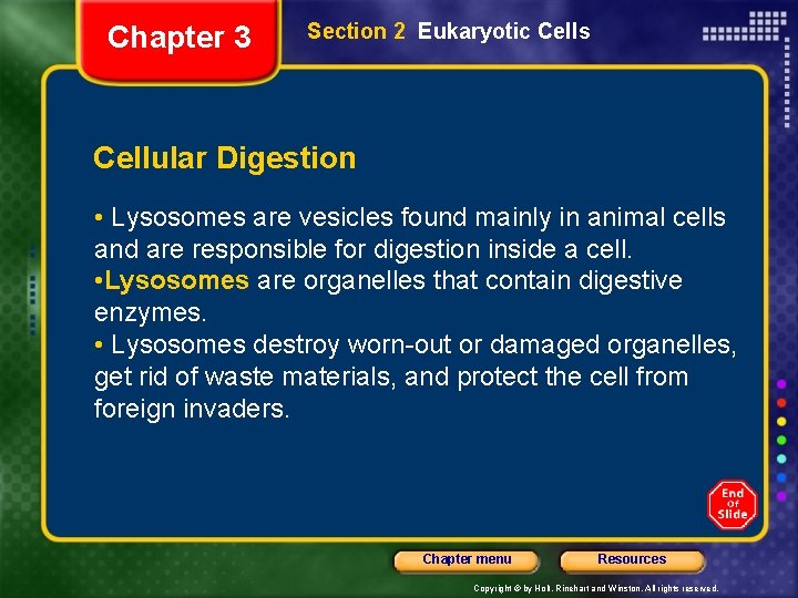 Chapter 3 Section 2 Eukaryotic Cells Cellular Digestion • Lysosomes are vesicles found mainly
