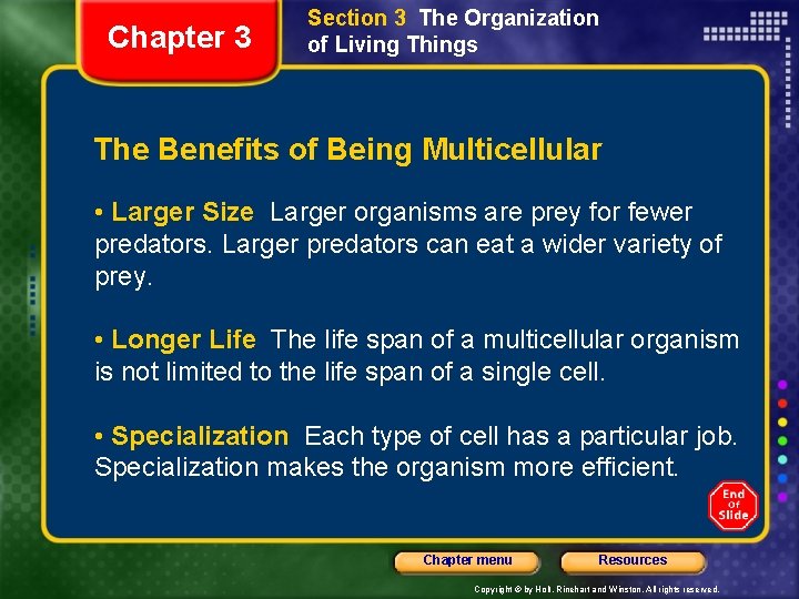 Chapter 3 Section 3 The Organization of Living Things The Benefits of Being Multicellular