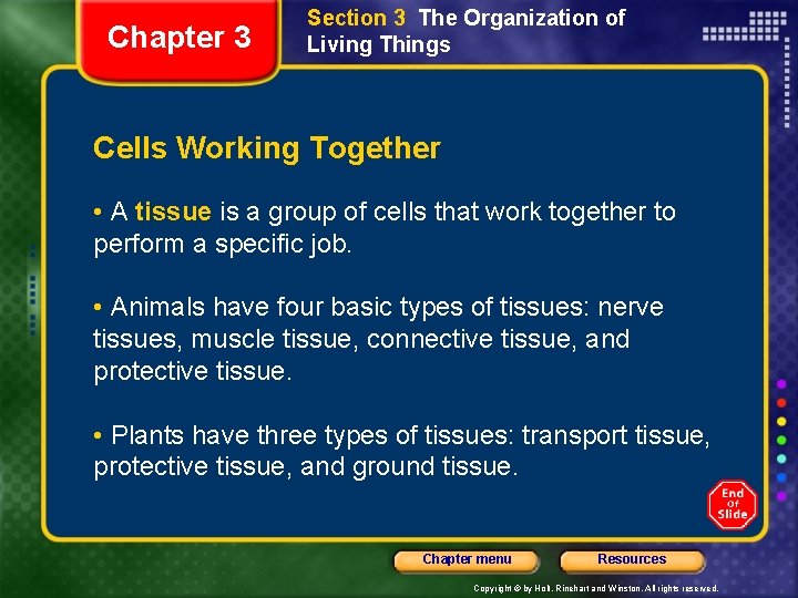 Chapter 3 Section 3 The Organization of Living Things Cells Working Together • A