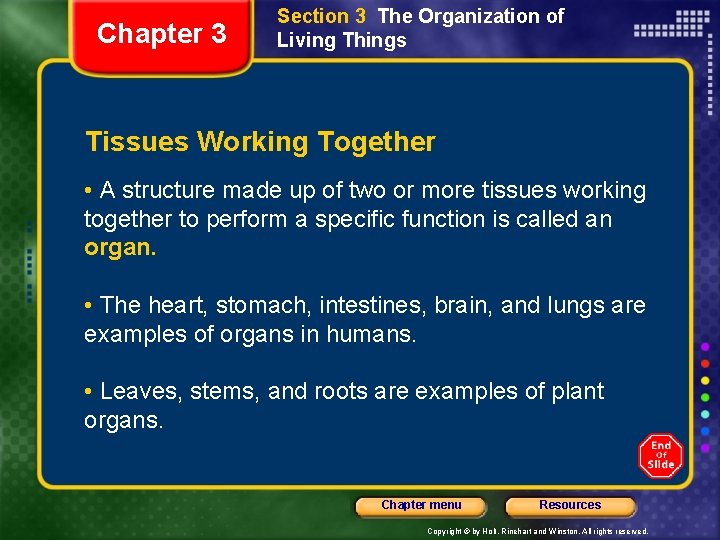 Chapter 3 Section 3 The Organization of Living Things Tissues Working Together • A