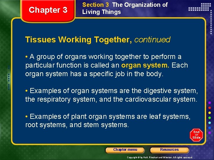 Chapter 3 Section 3 The Organization of Living Things Tissues Working Together, continued •