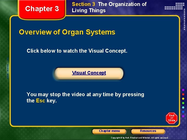 Chapter 3 Section 3 The Organization of Living Things Overview of Organ Systems Click