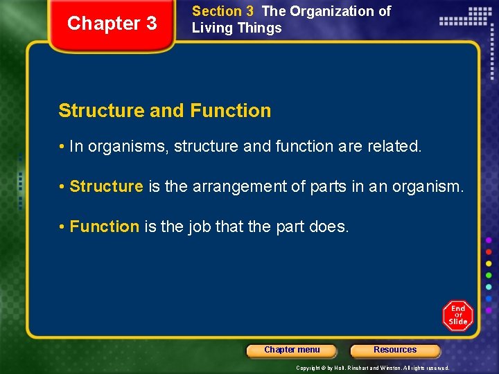 Chapter 3 Section 3 The Organization of Living Things Structure and Function • In