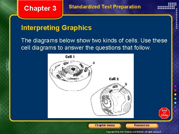 Chapter 3 Standardized Test Preparation Interpreting Graphics The diagrams below show two kinds of