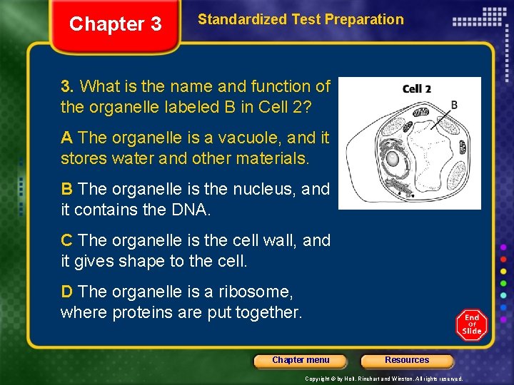 Chapter 3 Standardized Test Preparation 3. What is the name and function of the