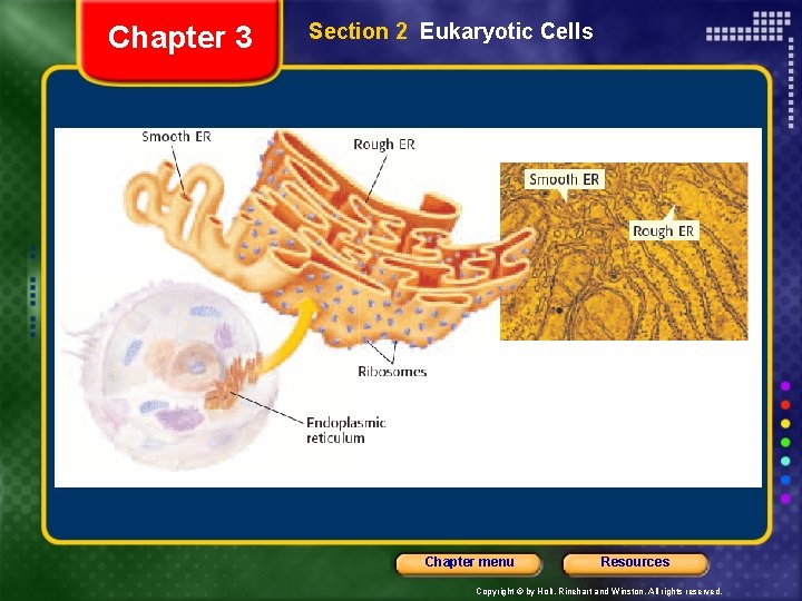 Chapter 3 Section 2 Eukaryotic Cells Chapter menu Resources Copyright © by Holt, Rinehart