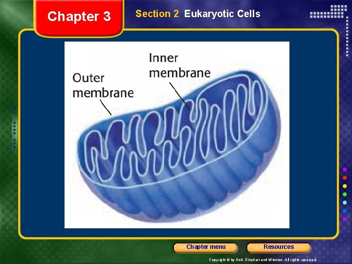 Chapter 3 Section 2 Eukaryotic Cells Chapter menu Resources Copyright © by Holt, Rinehart