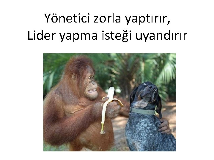 Yönetici zorla yaptırır, Lider yapma isteği uyandırır 