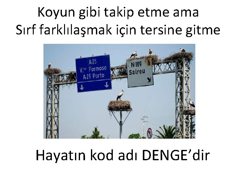 Koyun gibi takip etme ama Sırf farklılaşmak için tersine gitme Hayatın kod adı DENGE’dir