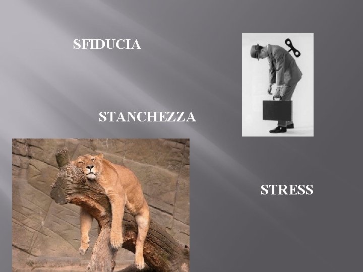 SFIDUCIA STANCHEZZA STRESS 