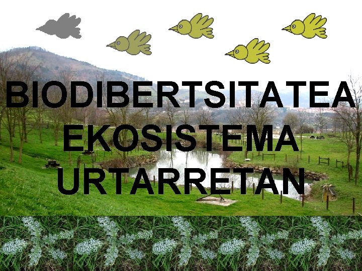 BIODIBERTSITATEA EKOSISTEMA URTARRETAN 