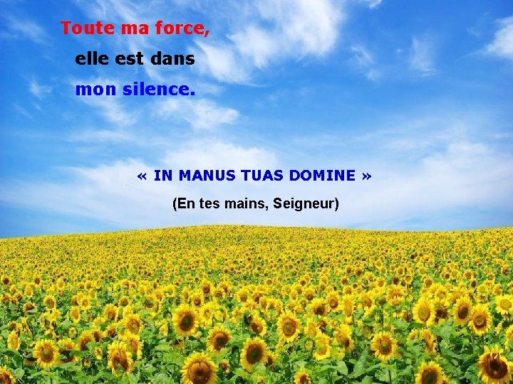 Toute ma force, elle est dans mon silence. « IN MANUS TUAS DOMINE »