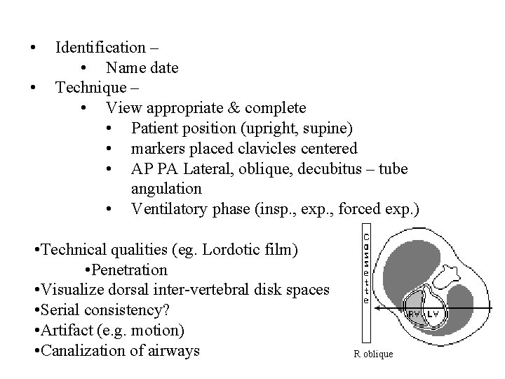 • • Identification – • Name date Technique – • View appropriate & • • Identification – • Name date Technique – • View appropriate &
