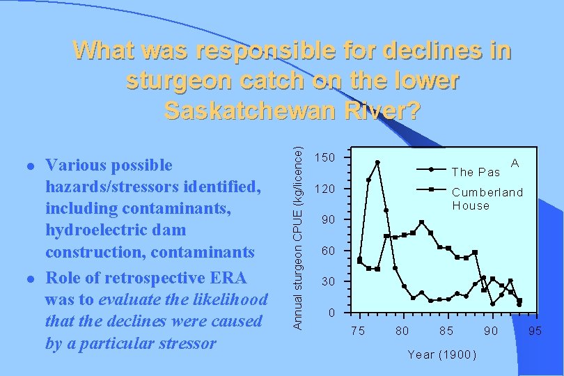 l l Various possible hazards/stressors identified, including contaminants, hydroelectric dam construction, contaminants Role of