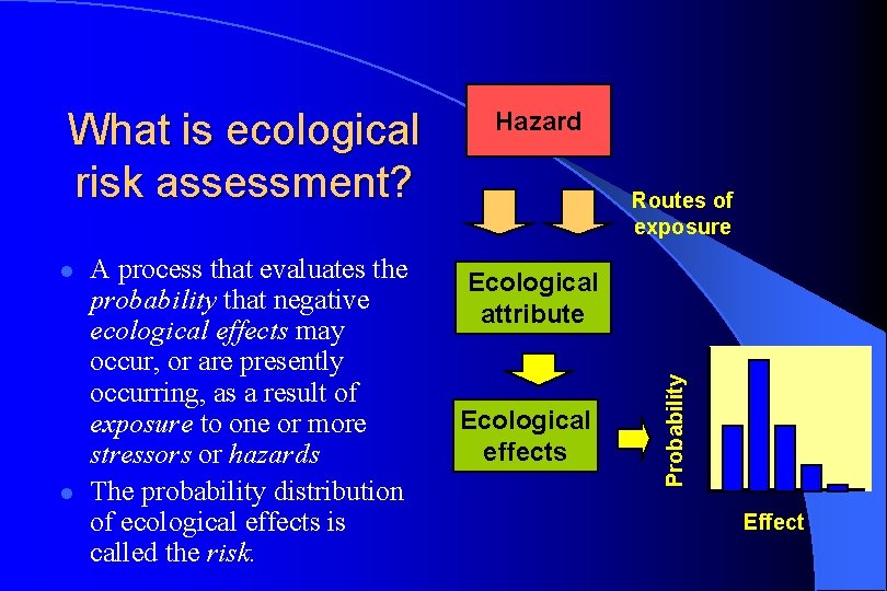 l l A process that evaluates the probability that negative ecological effects may occur,