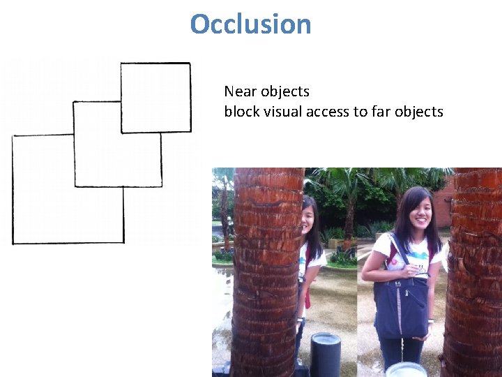 Occlusion Near objects block visual access to far objects Occlusion Near objects block visual access to far objects