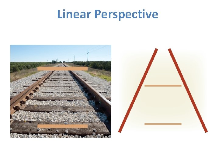 Linear Perspective Linear Perspective