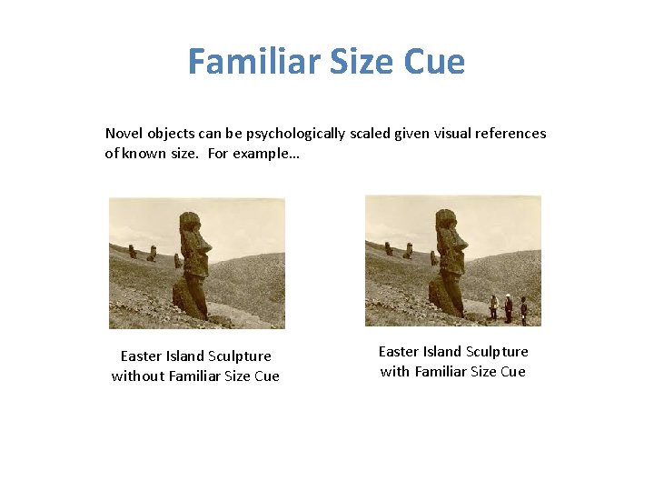 Familiar Size Cue Novel objects can be psychologically scaled given visual references of known Familiar Size Cue Novel objects can be psychologically scaled given visual references of known