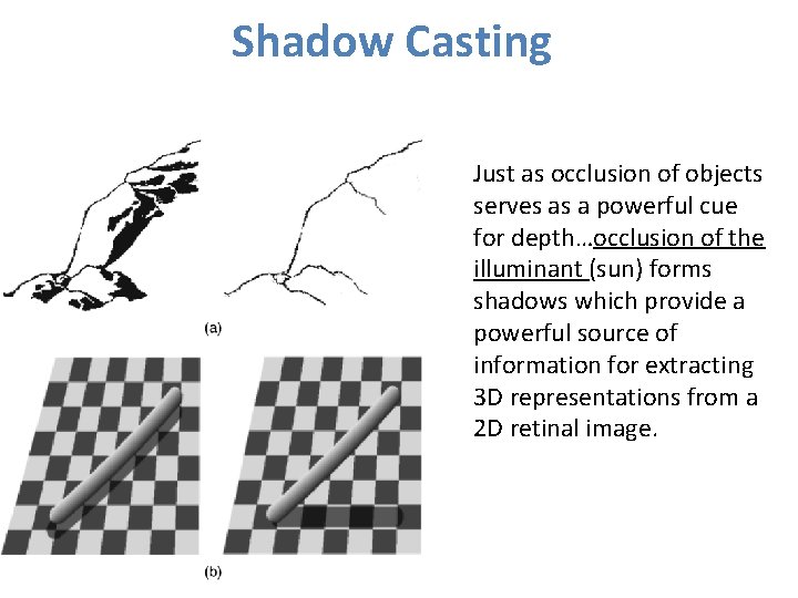 Shadow Casting Just as occlusion of objects serves as a powerful cue for depth…occlusion Shadow Casting Just as occlusion of objects serves as a powerful cue for depth…occlusion