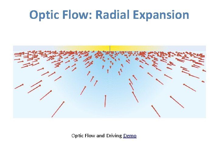 Optic Flow: Radial Expansion Optic Flow and Driving Demo Optic Flow: Radial Expansion Optic Flow and Driving Demo
