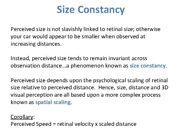 Size Constancy Perceived size is not slavishly linked to retinal size; otherwise your car Size Constancy Perceived size is not slavishly linked to retinal size; otherwise your car