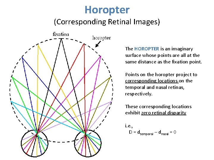 Horopter (Corresponding Retinal Images) The HOROPTER is an imaginary surface whose points are all Horopter (Corresponding Retinal Images) The HOROPTER is an imaginary surface whose points are all