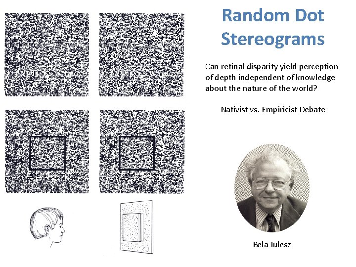 Random Dot Stereograms Can retinal disparity yield perception of depth independent of knowledge about Random Dot Stereograms Can retinal disparity yield perception of depth independent of knowledge about