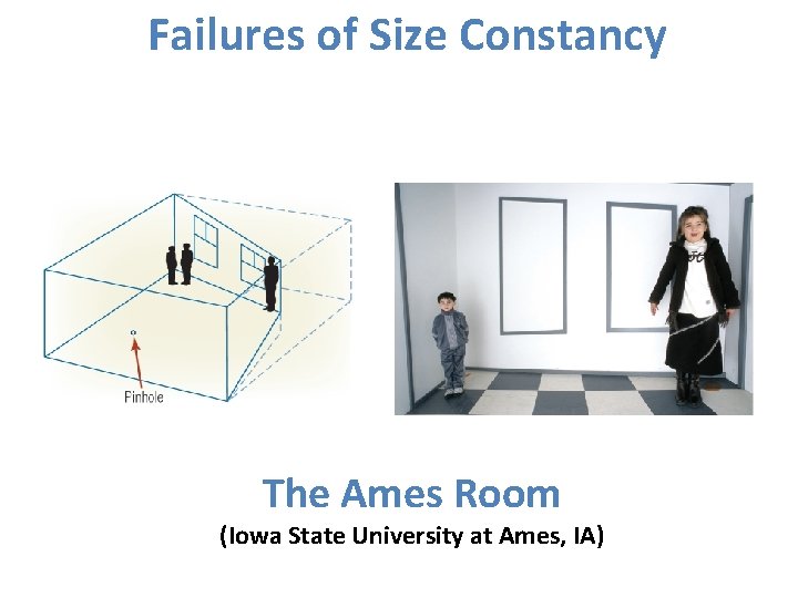 Failures of Size Constancy The Ames Room (Iowa State University at Ames, IA) Failures of Size Constancy The Ames Room (Iowa State University at Ames, IA)