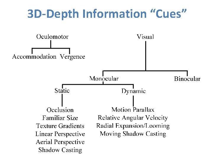 3 D-Depth Information “Cues” 3 D-Depth Information “Cues”