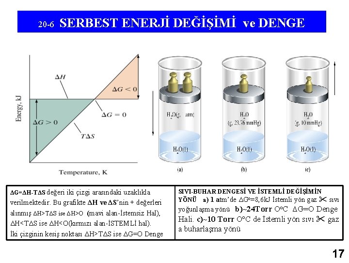 20 -6 SERBEST ENERJİ DEĞİŞİMİ ve DENGE ΔG=ΔH-TΔS değeri iki çizgi arasındaki uzaklıkla verilmektedir.