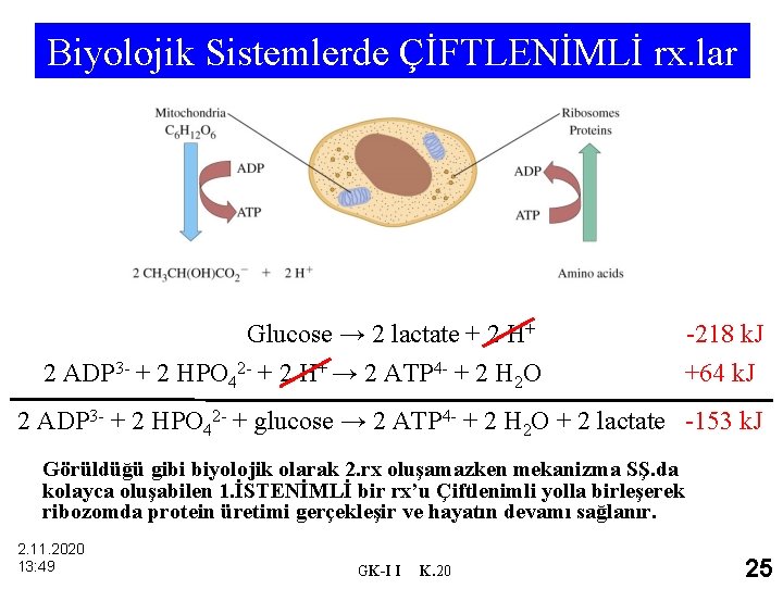 Biyolojik Sistemlerde ÇİFTLENİMLİ rx. lar Glucose → 2 lactate + 2 H+ 2 ADP