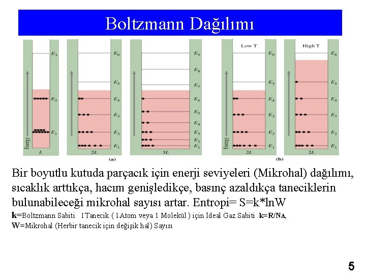 Boltzmann Dağılımı Bir boyutlu kutuda parçacık için enerji seviyeleri (Mikrohal) dağılımı, sıcaklık arttıkça, hacım