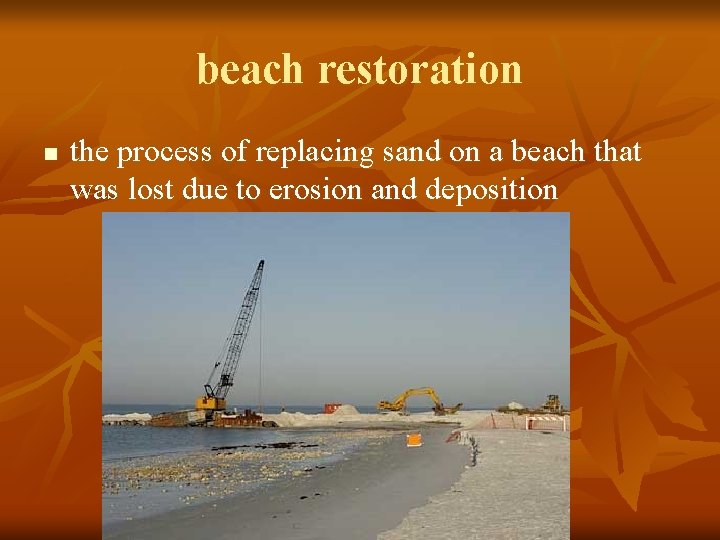 beach restoration n the process of replacing sand on a beach that was lost