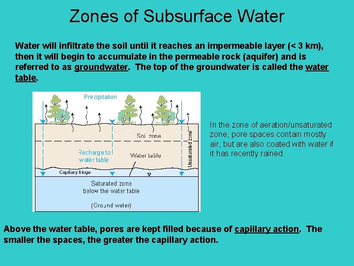 Zones of Subsurface Water will infiltrate the soil until it reaches an impermeable layer