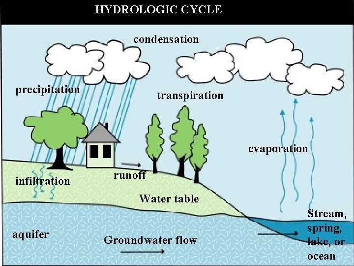 HYDROLOGIC CYCLE condensation precipitation transpiration evaporation infiltration runoff Water table aquifer Groundwater flow Stream,