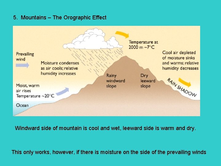 5. Mountains – The Orographic Effect Windward side of mountain is cool and wet,