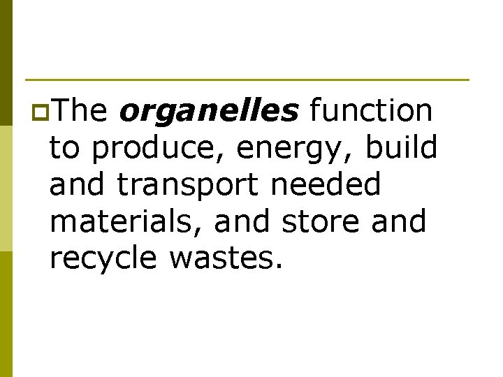 p. The organelles function to produce, energy, build and transport needed materials, and store