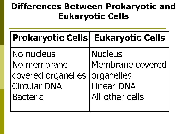 Differences Between Prokaryotic and Eukaryotic Cells Prokaryotic Cells Eukaryotic Cells No nucleus No membranecovered