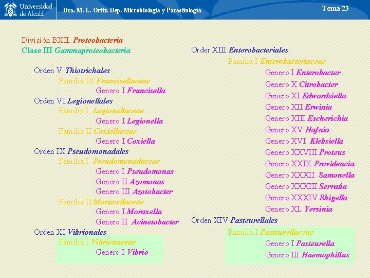 Dra. M. L. Ortiz. Dep. Microbiología y Parasitología División BXII. Proteobacteria Clase III Gammaproteobacteria