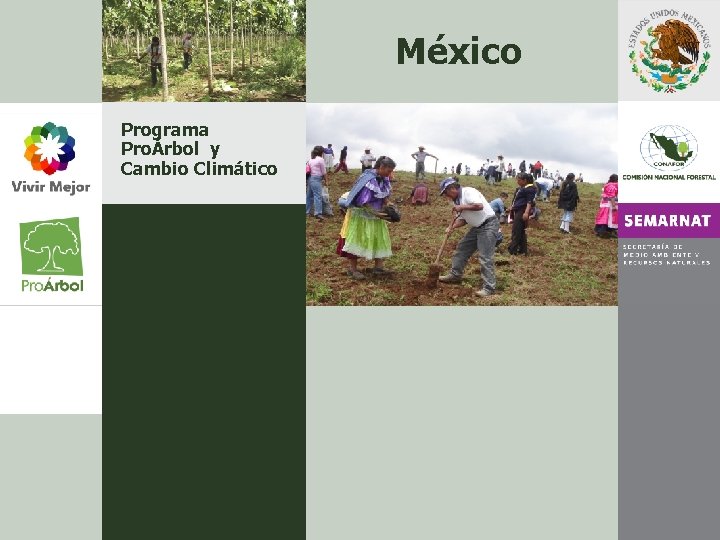 México Programa ProÁrbol y Cambio Climático 