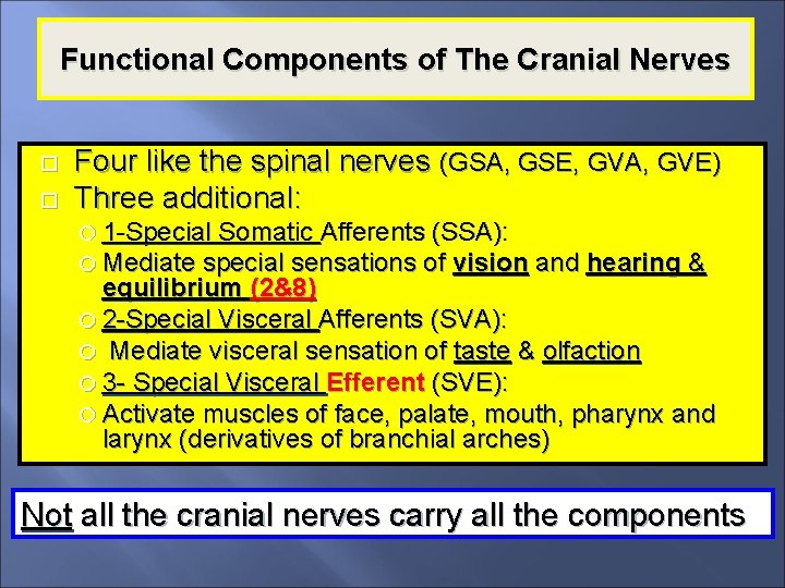 Functional Components of The Cranial Nerves Four like the spinal nerves (GSA, GSE, GVA,