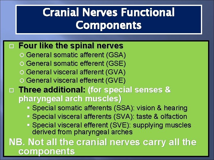 Cranial Nerves Functional Components Four like the spinal nerves General somatic afferent (GSA) General