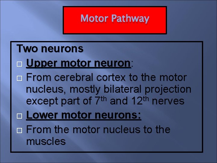 Motor Pathway Two neurons Upper motor neuron: From cerebral cortex to the motor nucleus,